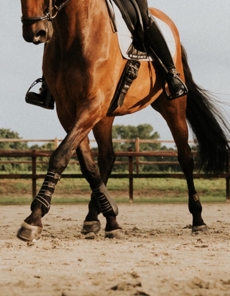 Kim Cornelisse zit op een paard en geeft hippische begeleiding aan cliënten.