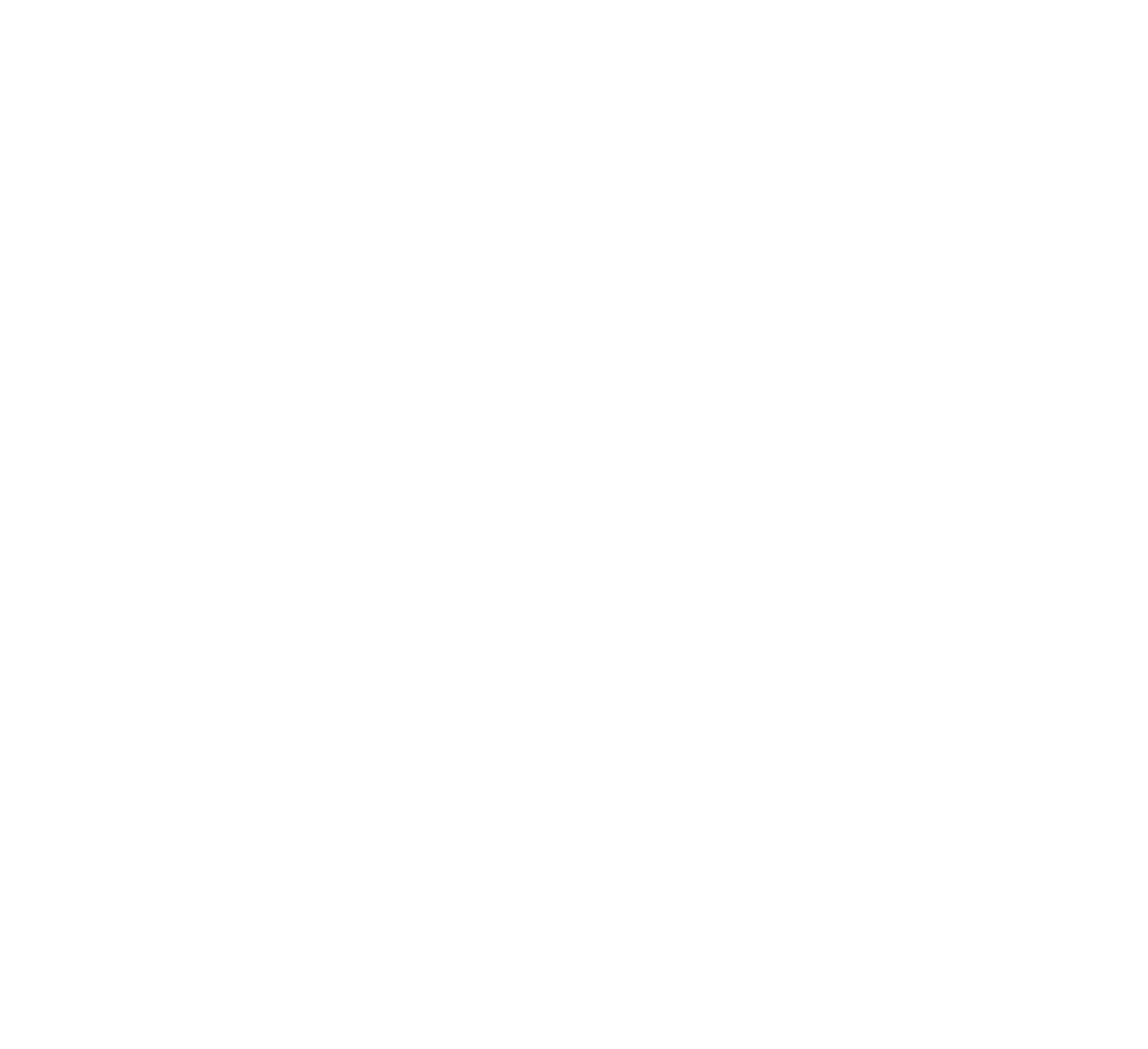 Cornelisse Coaching Logo